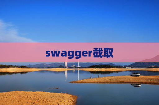 swagger截取